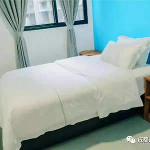 Zhengfu Cao Tang 招待所 成都