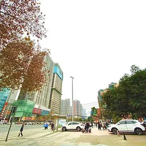 Hotel Comfort Dongjiao Memory